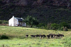 Гостиница Red Stone Hills  Buffelskloof